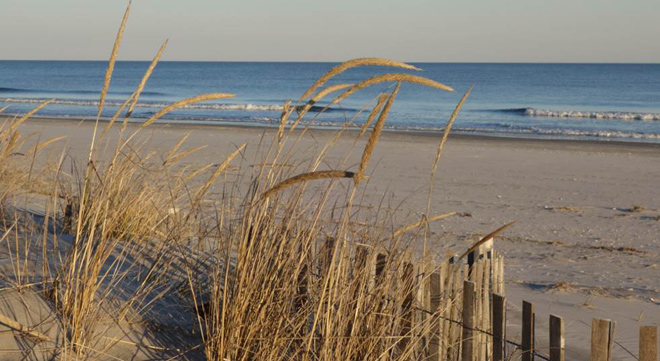 Calm Ocean, Pleasant Beach